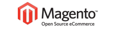 Magento Developper